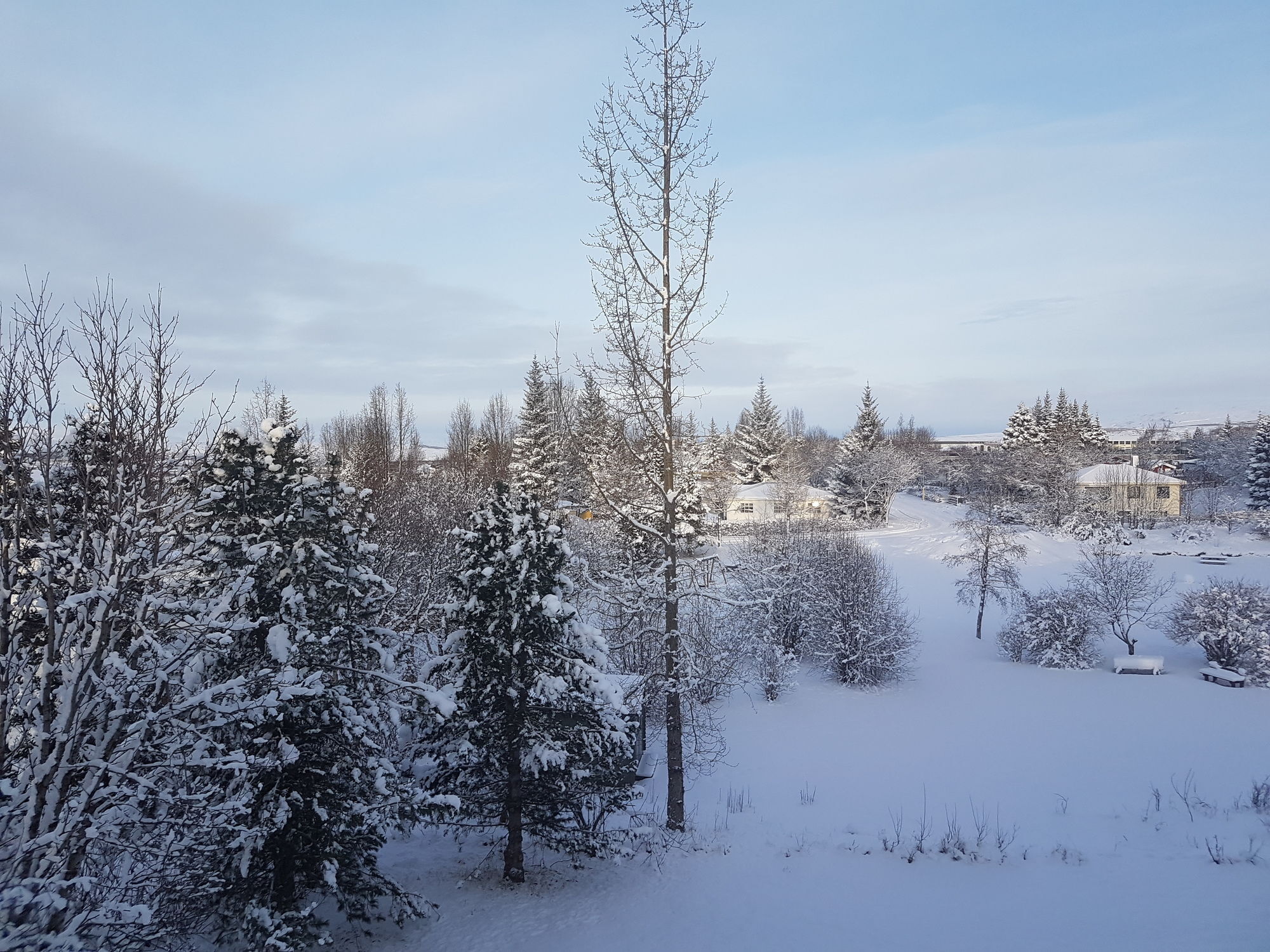 Laufas Guesthouse Egilsstadir Exteriér fotografie